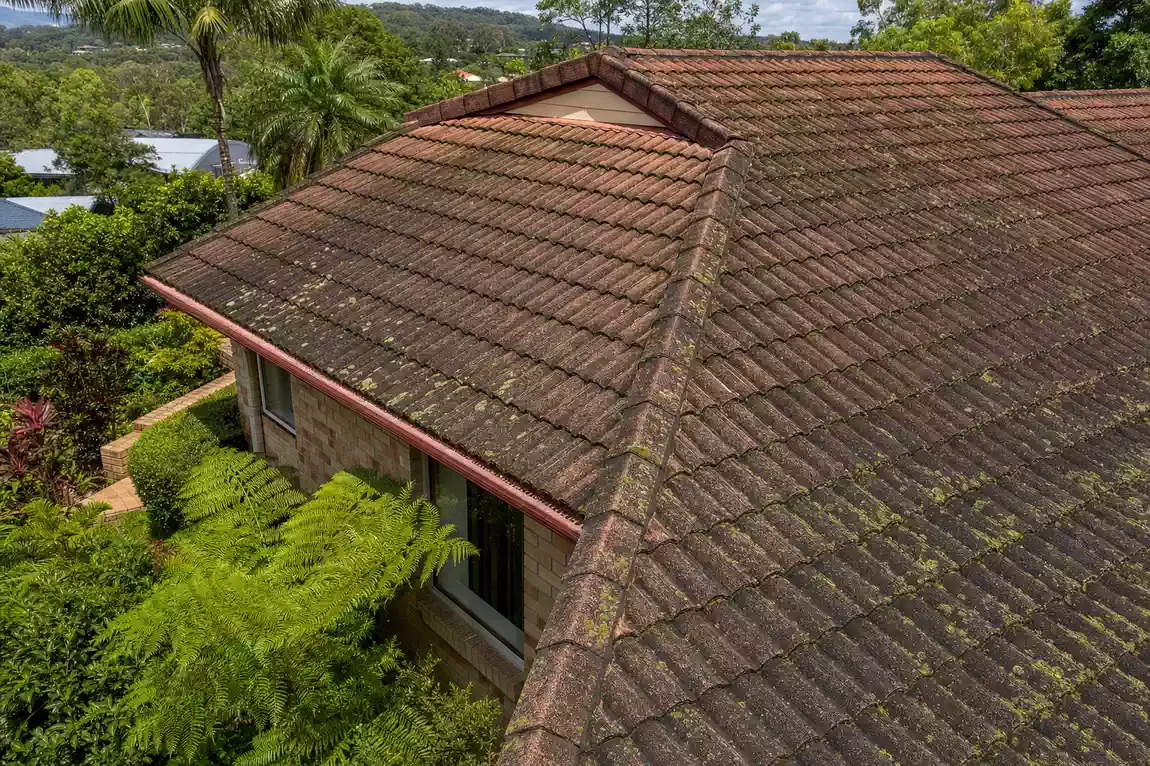 How Often Should You Clean Your Roof in Brisbane?
