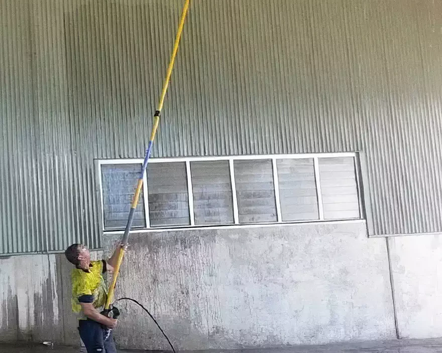 A Brisbane commercial roof showing growth and staining that signals it is due for a professional clean