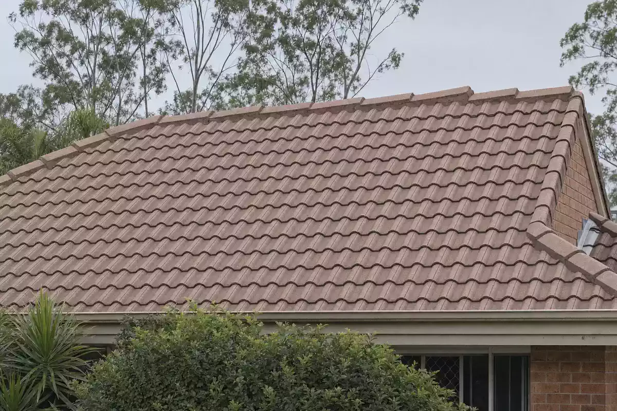 Illustration of a concrete tile roof after a professional clean