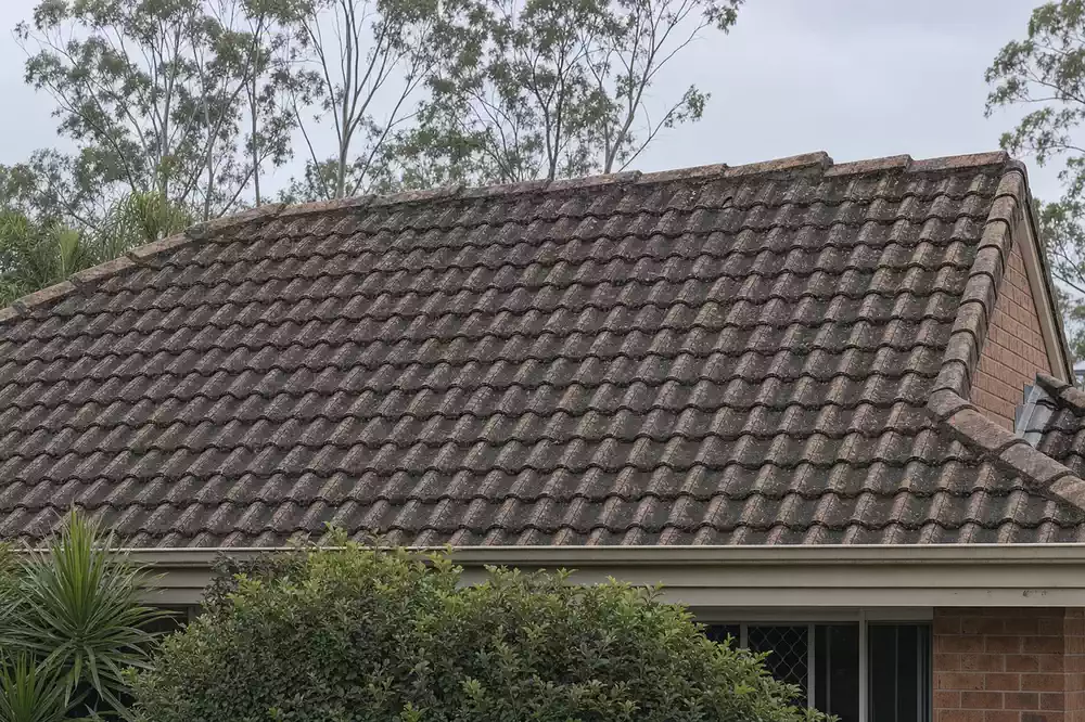 Illustration of a concrete tile roof before a professional clean